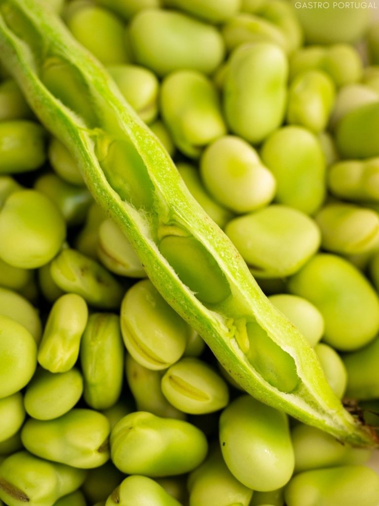 broad bean pod